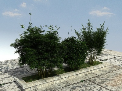 景观竹子植物模型