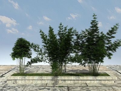 3d景观竹子植物模型
