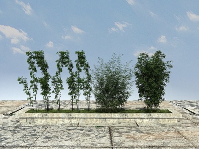 3d<font class='myIsRed'>景观竹子</font>植物模型
