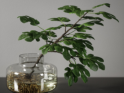现代玻璃水生植物盆栽模型3d模型