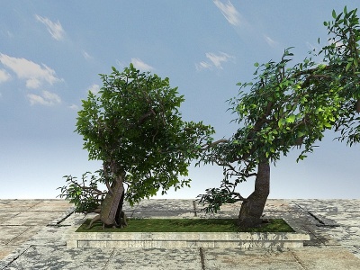 3d古树模型