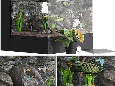 现代鱼缸水族模型3d模型