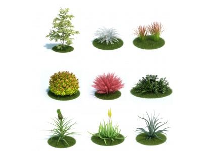 3d现代<font class='myIsRed'>园林</font>植物灌木模型