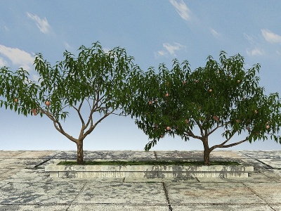 3d桃子树模型