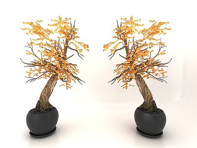 3d盆栽模型