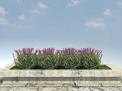 3d紫柳模型