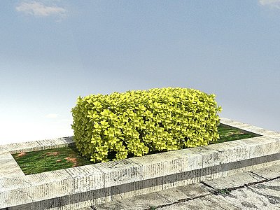 3d黄金榕绿篱模型