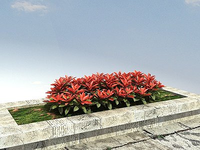 红叶石楠l绿篱模型3d模型