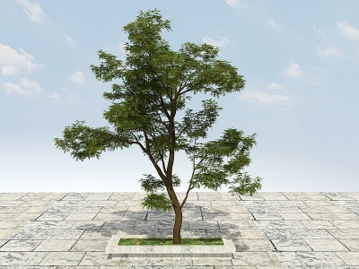 3d大树开花植物模型