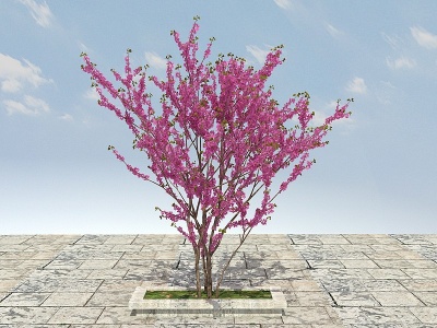 3d大樹開花植物模型
