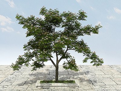 3d大树开花植物模型