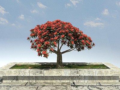 红叶石楠桩景模型3d模型