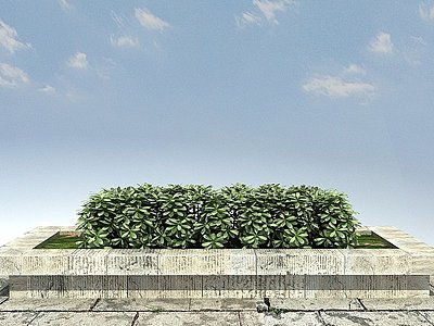 3d海桐绿篱模型