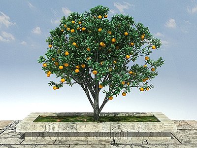 3d大树橙模型