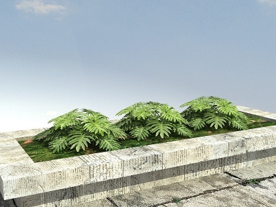 春羽景观植物模型3d模型