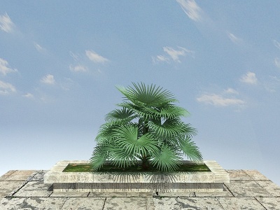 3d琼棕景观植物模型