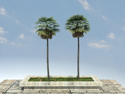 3d扇棕景观植物模型