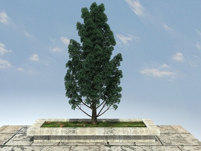 3d罗汉松景观植物模型