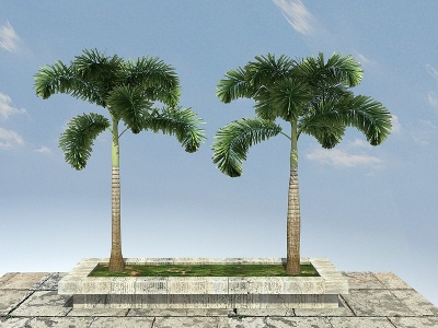 3d狐尾椰景观植物模型