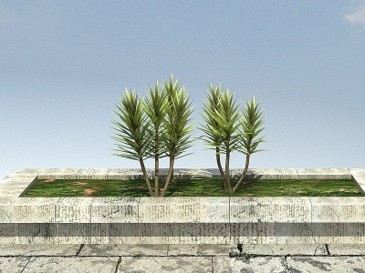 3d荷兰铁景观植物模型
