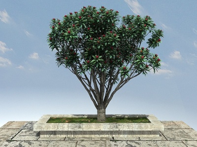 3d杨梅景观植物模型