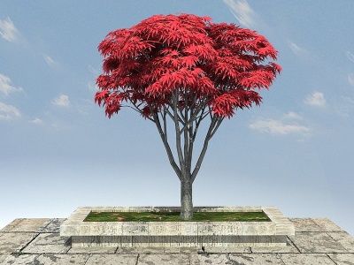 3d红枫景观植物模型