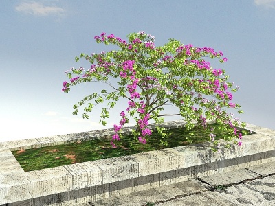 3d叶子花丛景观植物模型