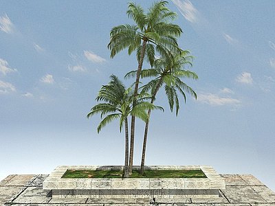 3d椰子模型