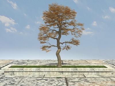3d有造形大树植物模型