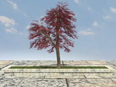 有造形大树植物模型3d模型