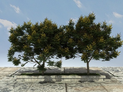 3d有形开花景观植物模型