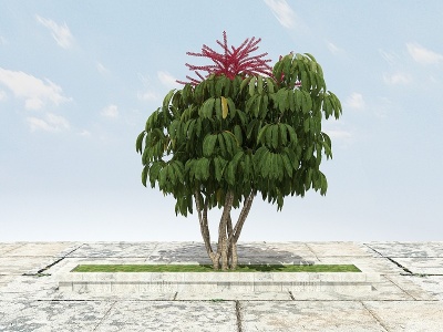 3d有形开花景观植物模型
