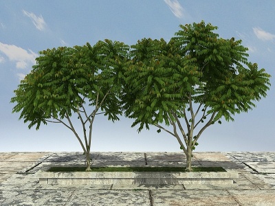 有层次植物模型3d模型