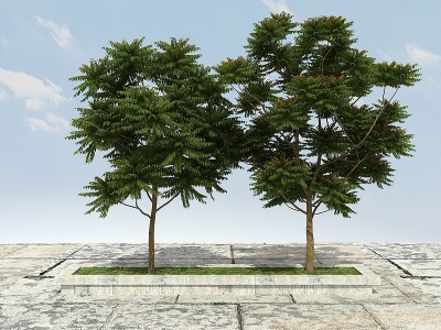 3d香春树（可食用）模型