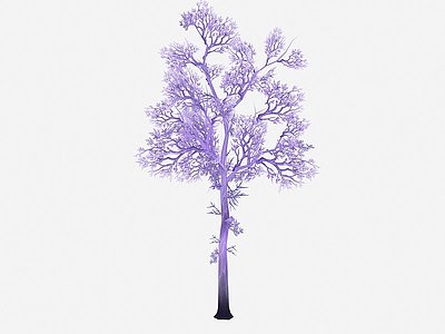 3d现代植物紫树树木模型