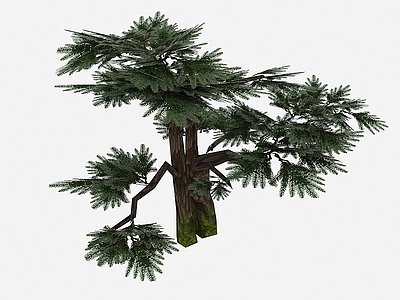 现代植物松树树木模型3d模型