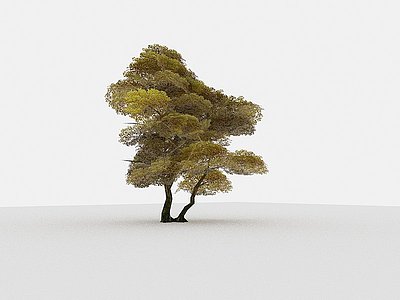 3d现代植物树木矮树模型