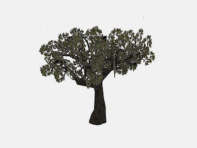 3d现代植物茂盛树木模型