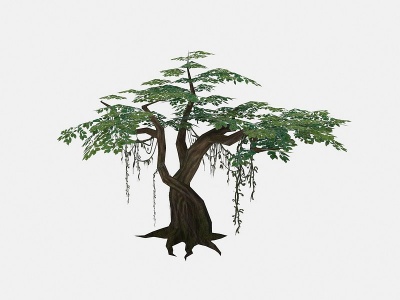 3d现代植物绿藤树木模型
