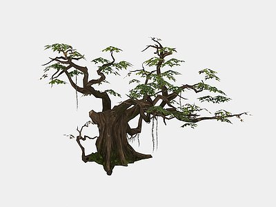 3d现代植物小藤树木模型