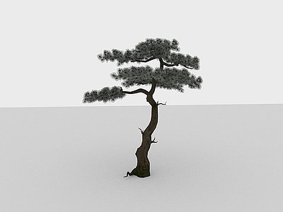 3d现代植物针叶树木模型