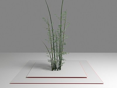 3d现代植物断竹子模型