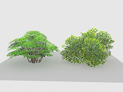 3d现代植物野花杂草模型