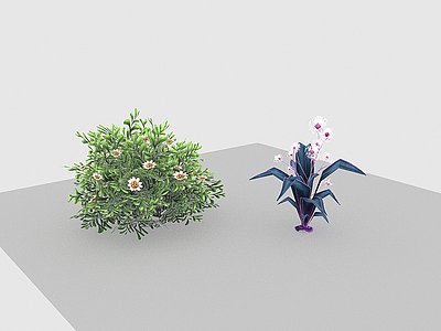 现代植物野花模型3d模型