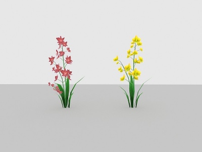 3d现代植物<font class='myIsRed'>野花</font>模型
