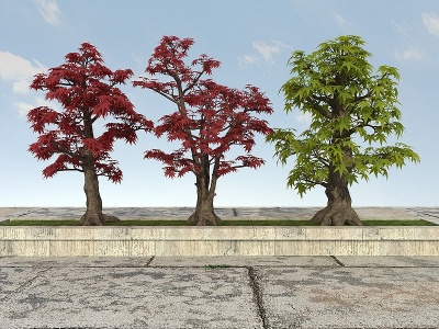 3d大树植物模型