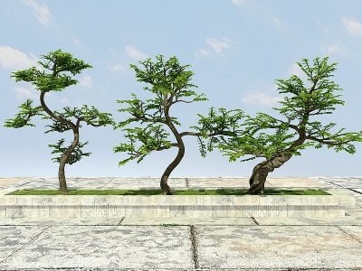 3d大树植物模型