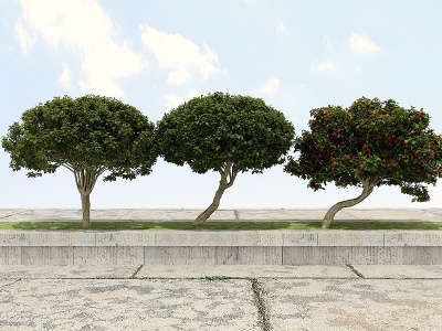 3d景观绿化观赏植物模型