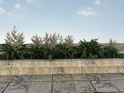 3d花草景观植物模型