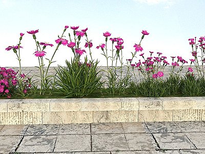 3d花草景观植物模型